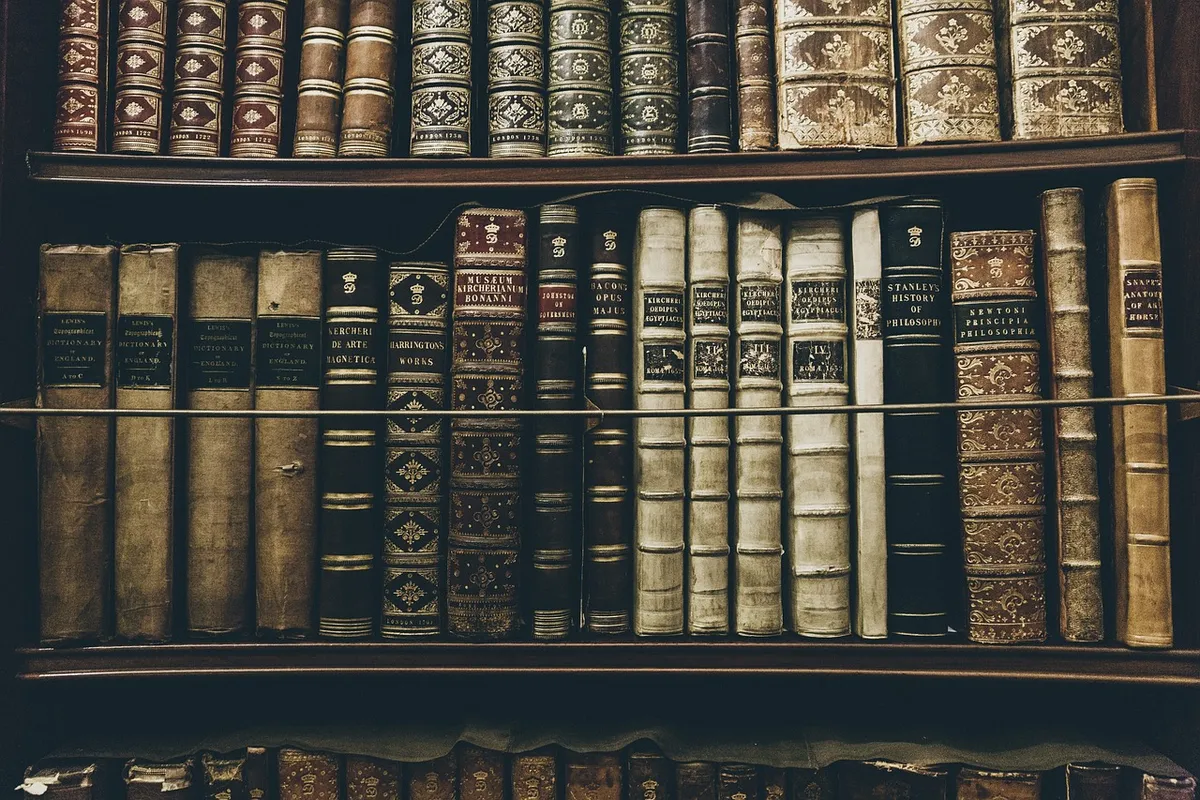books, library, reading, education, history, philosophy, shelves, learning, literature, library, library, history, history, history, history, history, philosoph